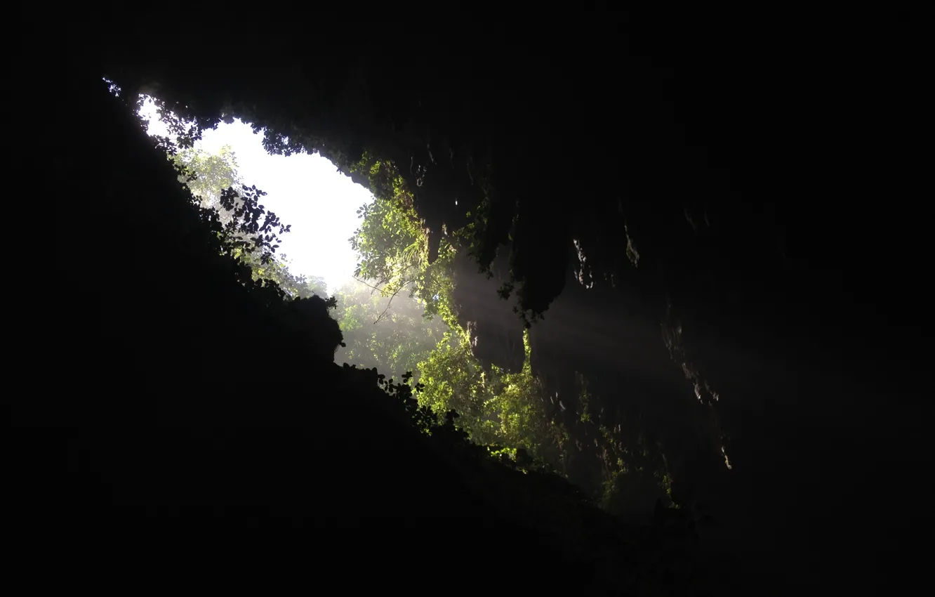 Фото обои зелень, темно, дыра, ущелье, пещера, проём