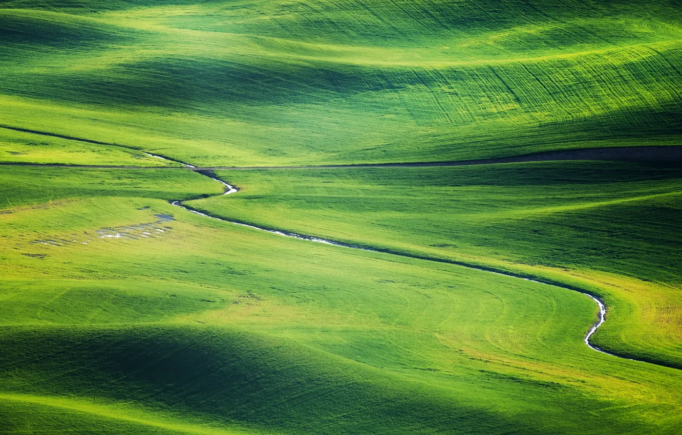 Фото обои дорога, зелень, трава
