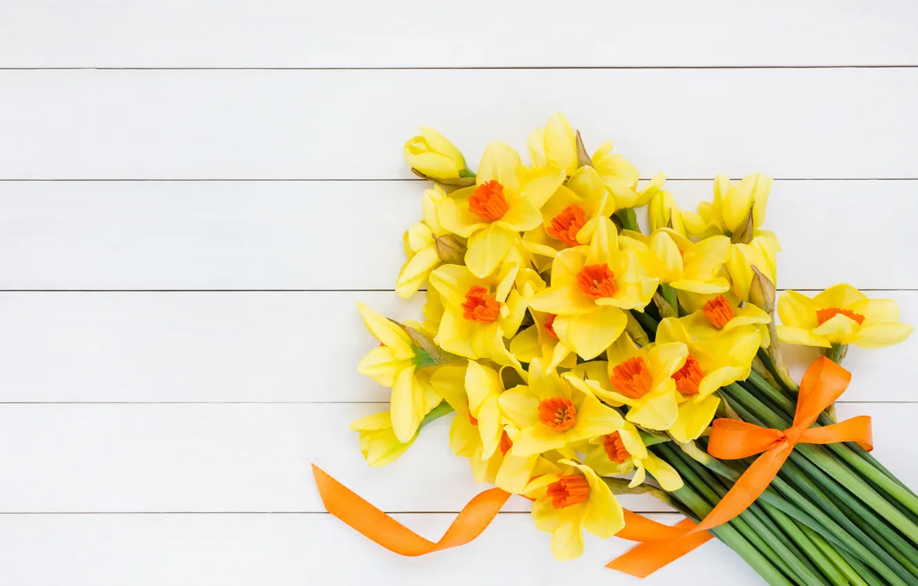 Фото обои цветы, букет, желтые, лента, yellow, flowers, нарциссы