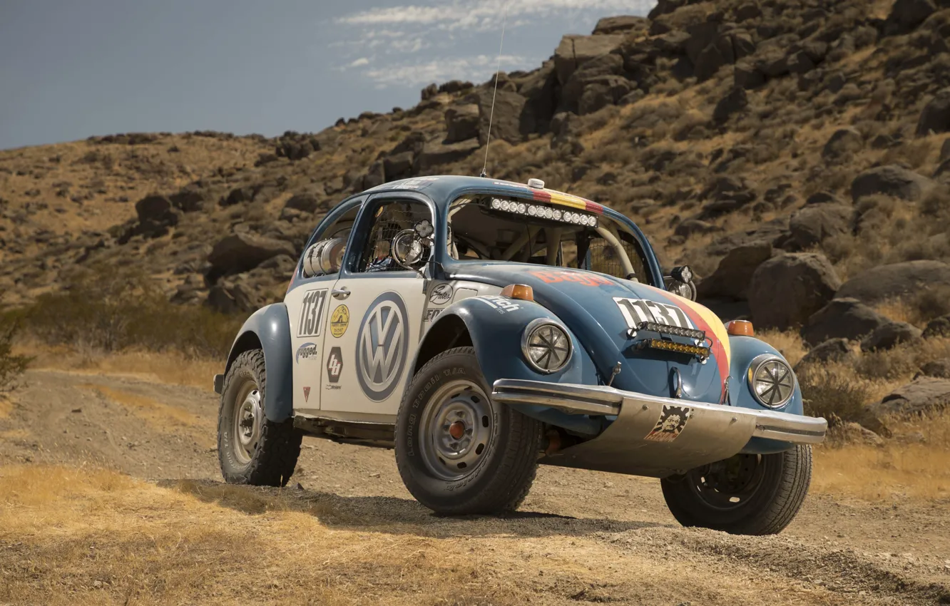 Фото обои ралли, Baja 1000, Фольксваген, Desert Race, 2017, Wolkswagen, Beetles, Баха 1000