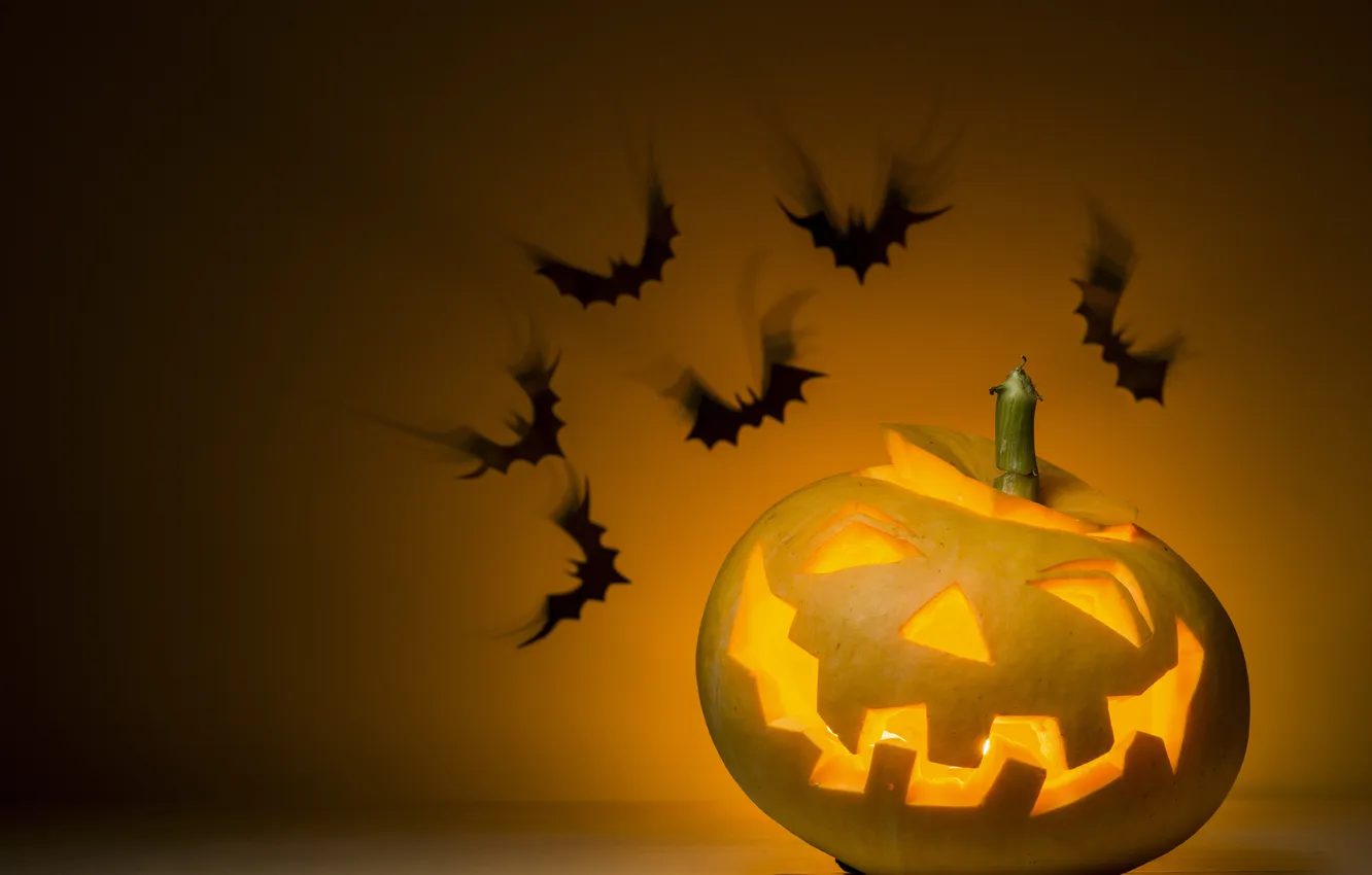 Фото обои Улыбка, Тыква, Halloween, Хэллоуин, Летучие мыши