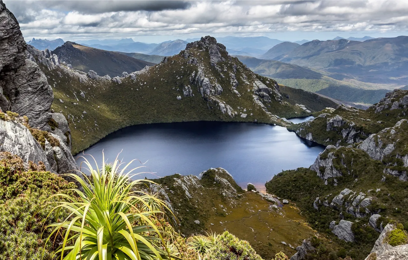 Фото обои lake, hills, plants