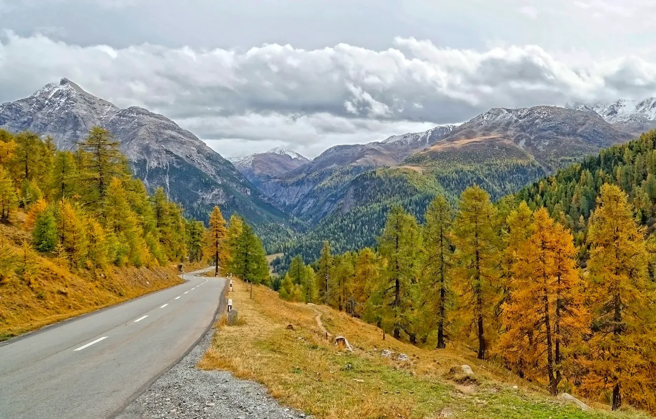Фото обои дорога, осень, лес, деревья, горы, Швейцария, кантон Граубюнден, Alvaneu Dorf