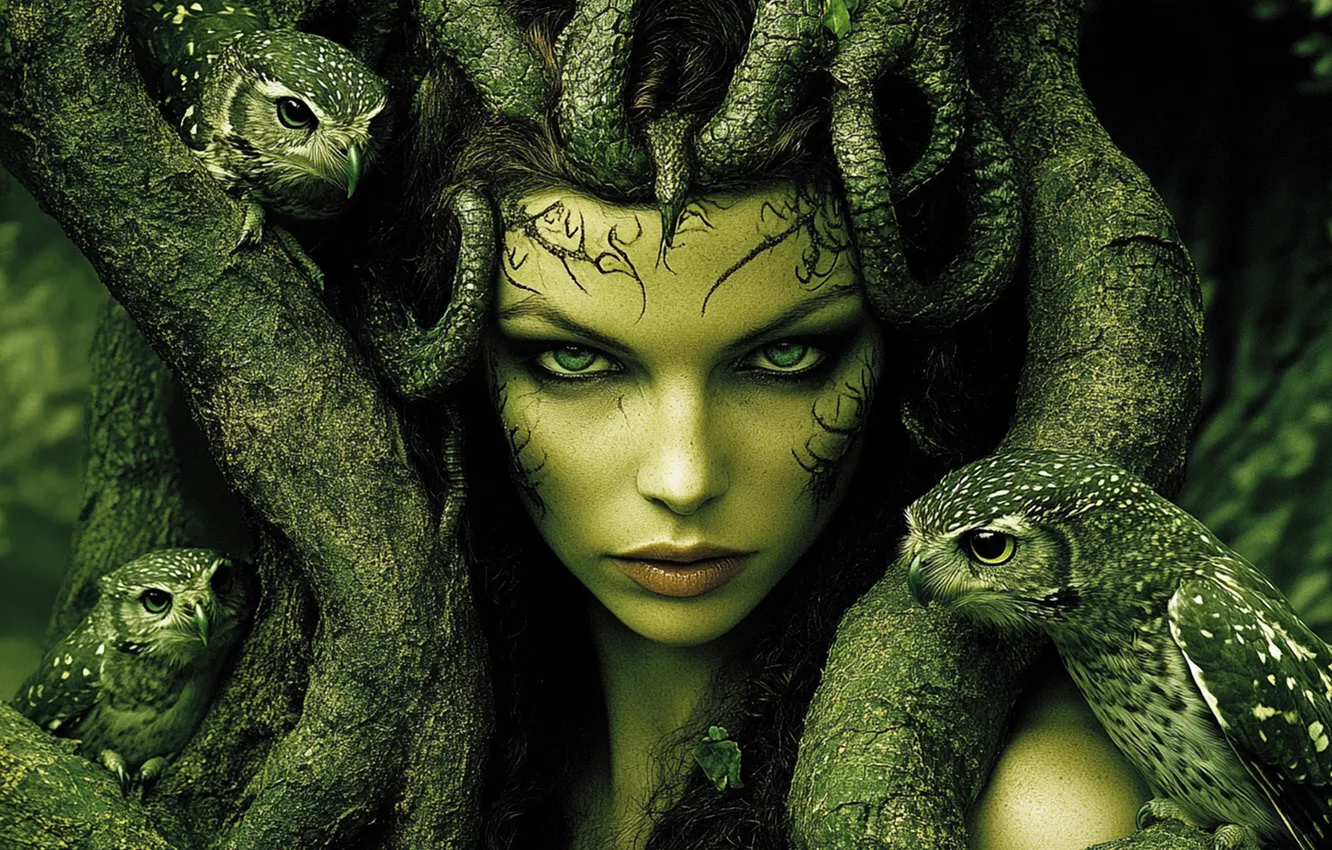Фото обои взгляд, девушка, ветки, темный фон, сова, птица, портрет, фэнтези