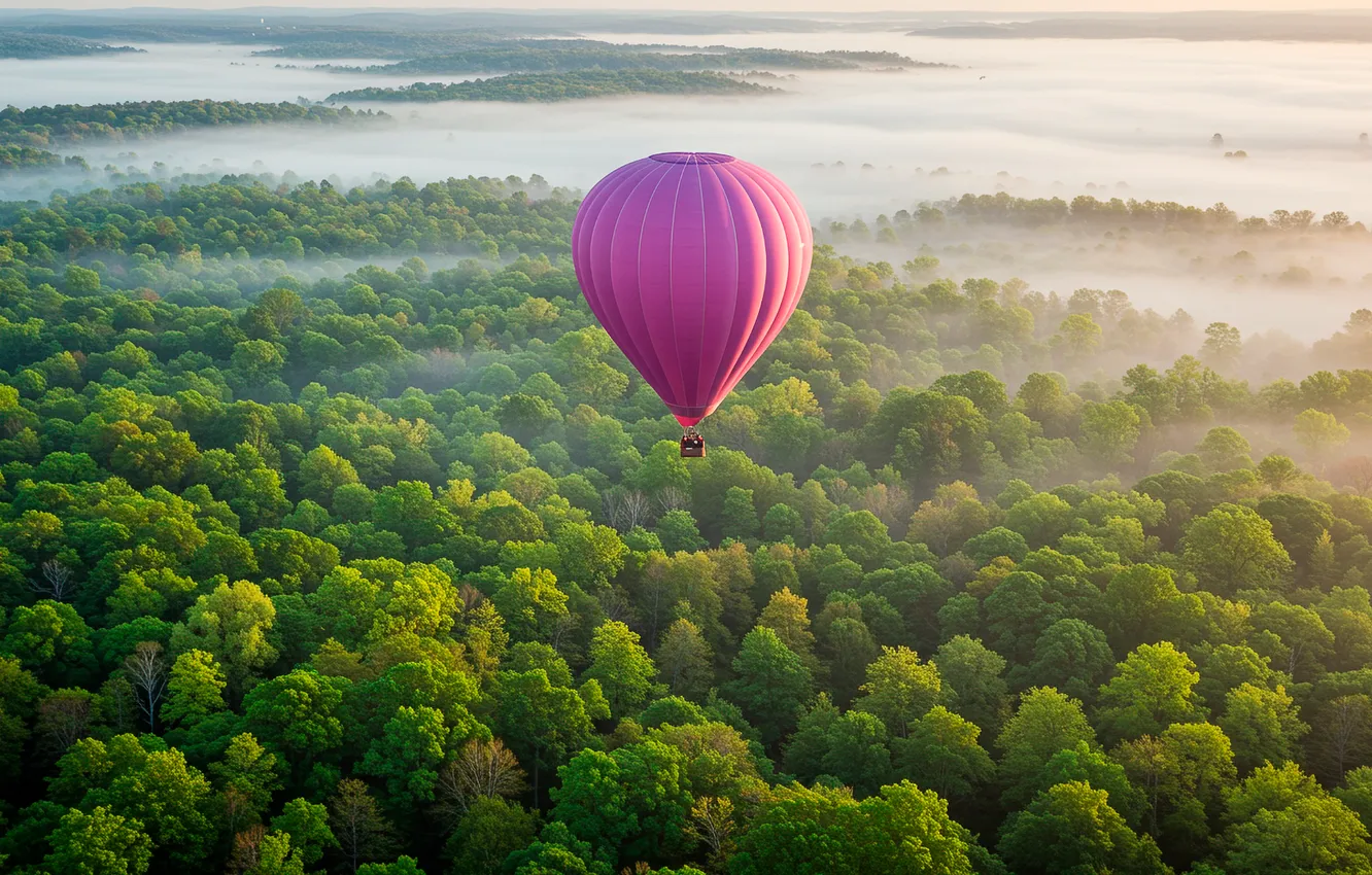 Фото обои лес, деревья, туман, воздушный шар, обои, высота, арт, wallpaper