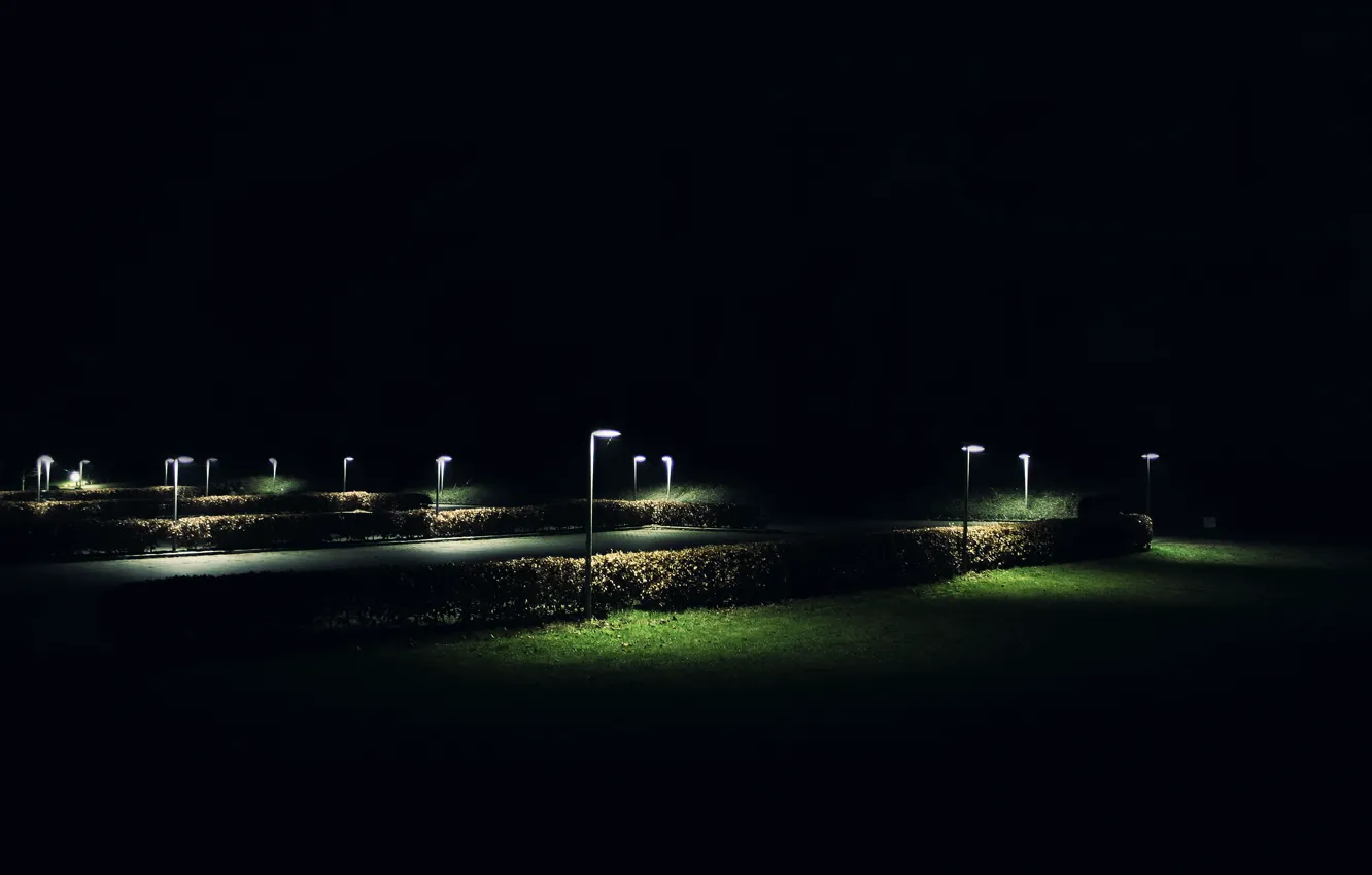Фото обои трава, ночь, куст, фонарь