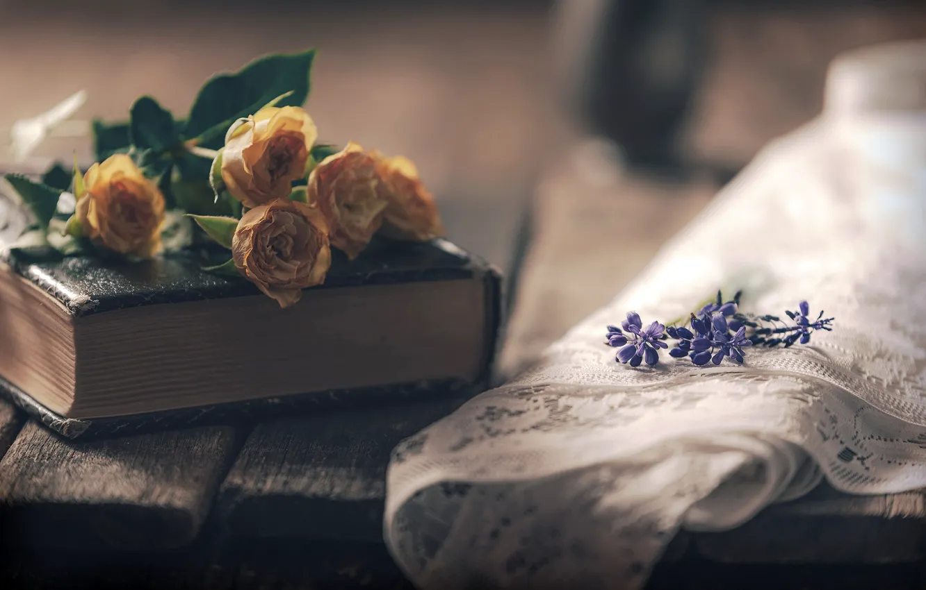 Фото обои цветы, книги, розы