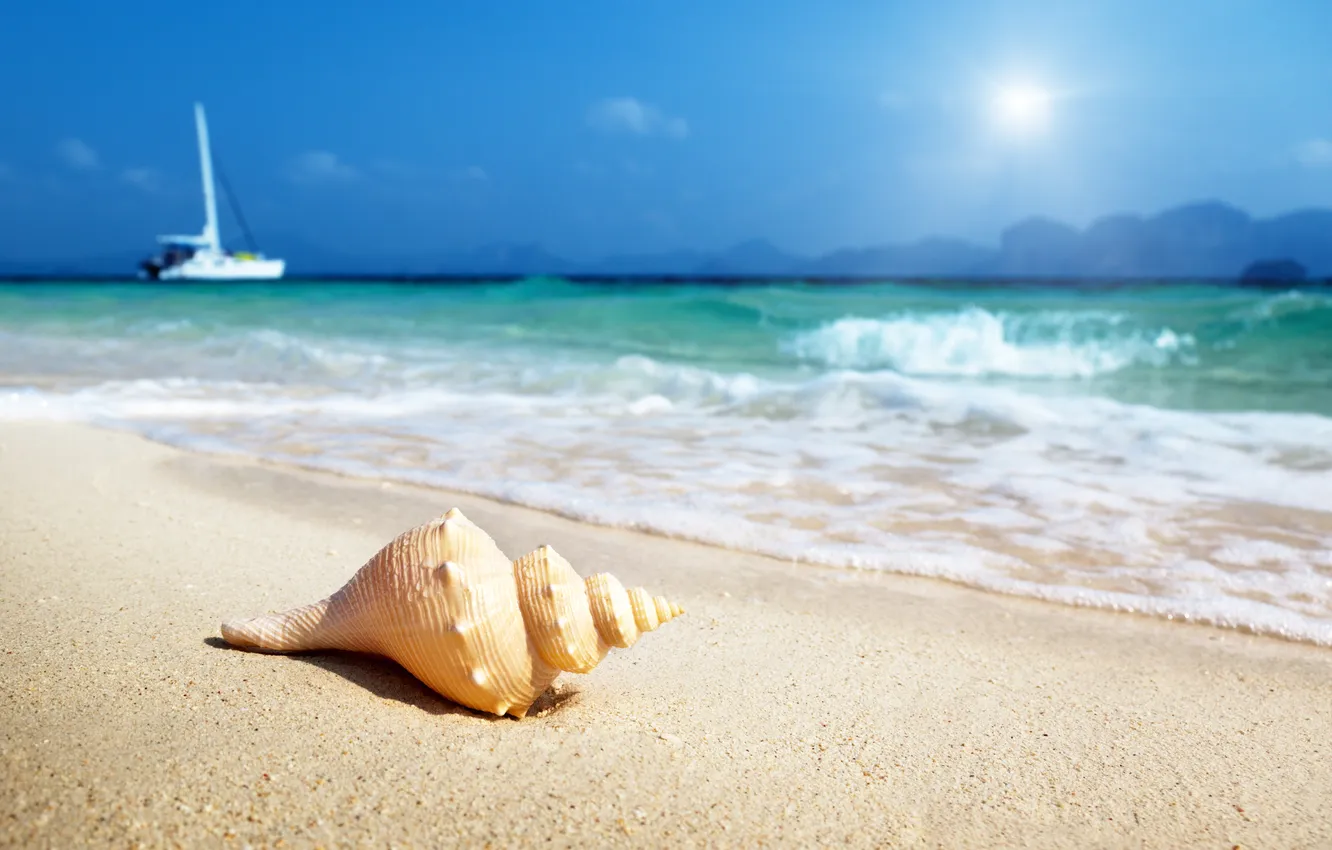 Фото обои песок, море, небо, яхта, ракушка, прибой