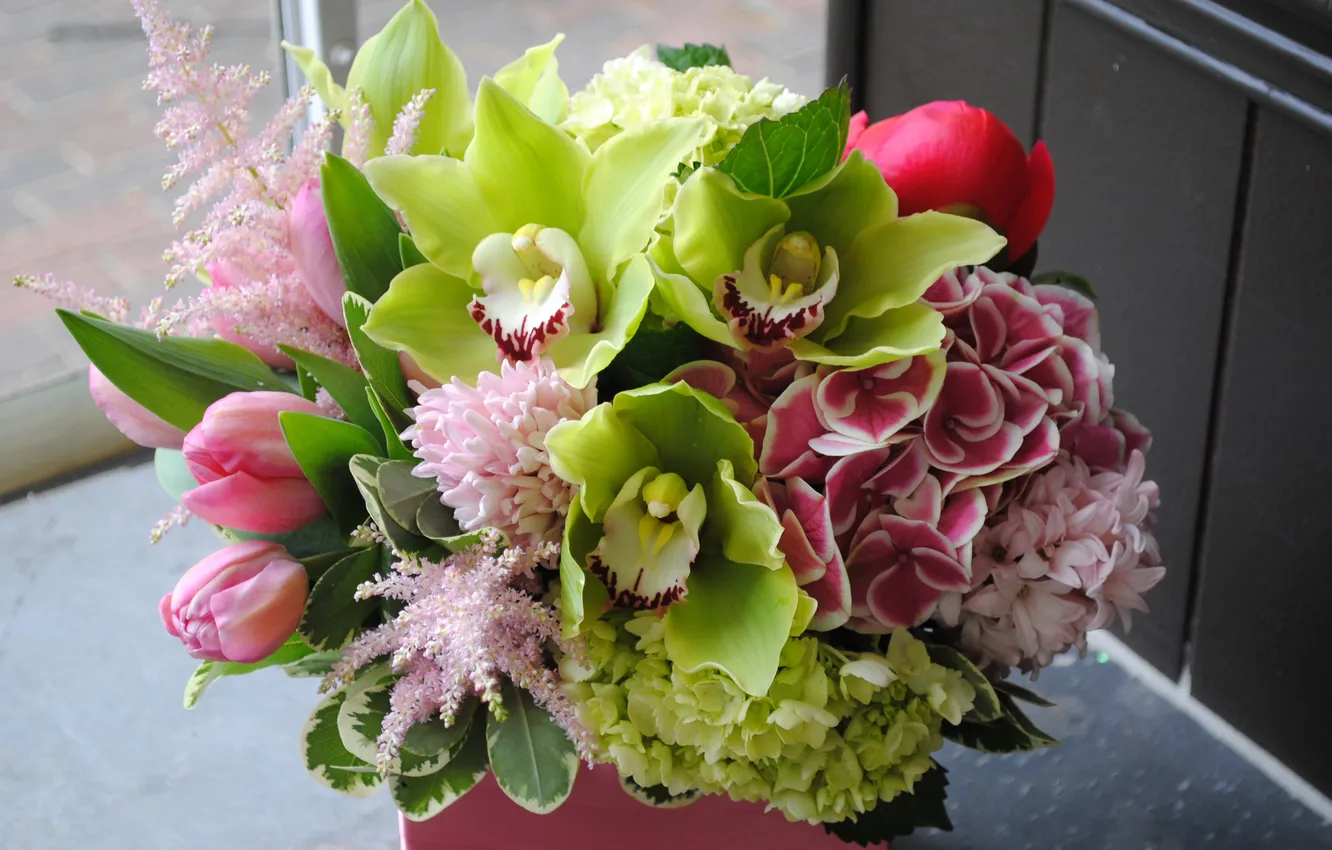 Фото обои букет, Тюльпаны, Орхидеи, Гортензия, Морозник