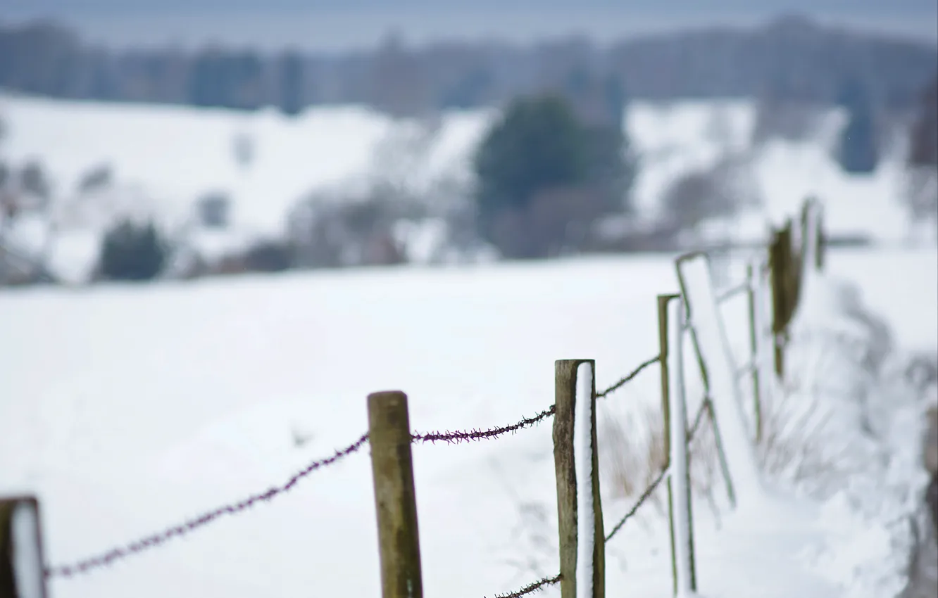 Фото обои winter, fence, wire