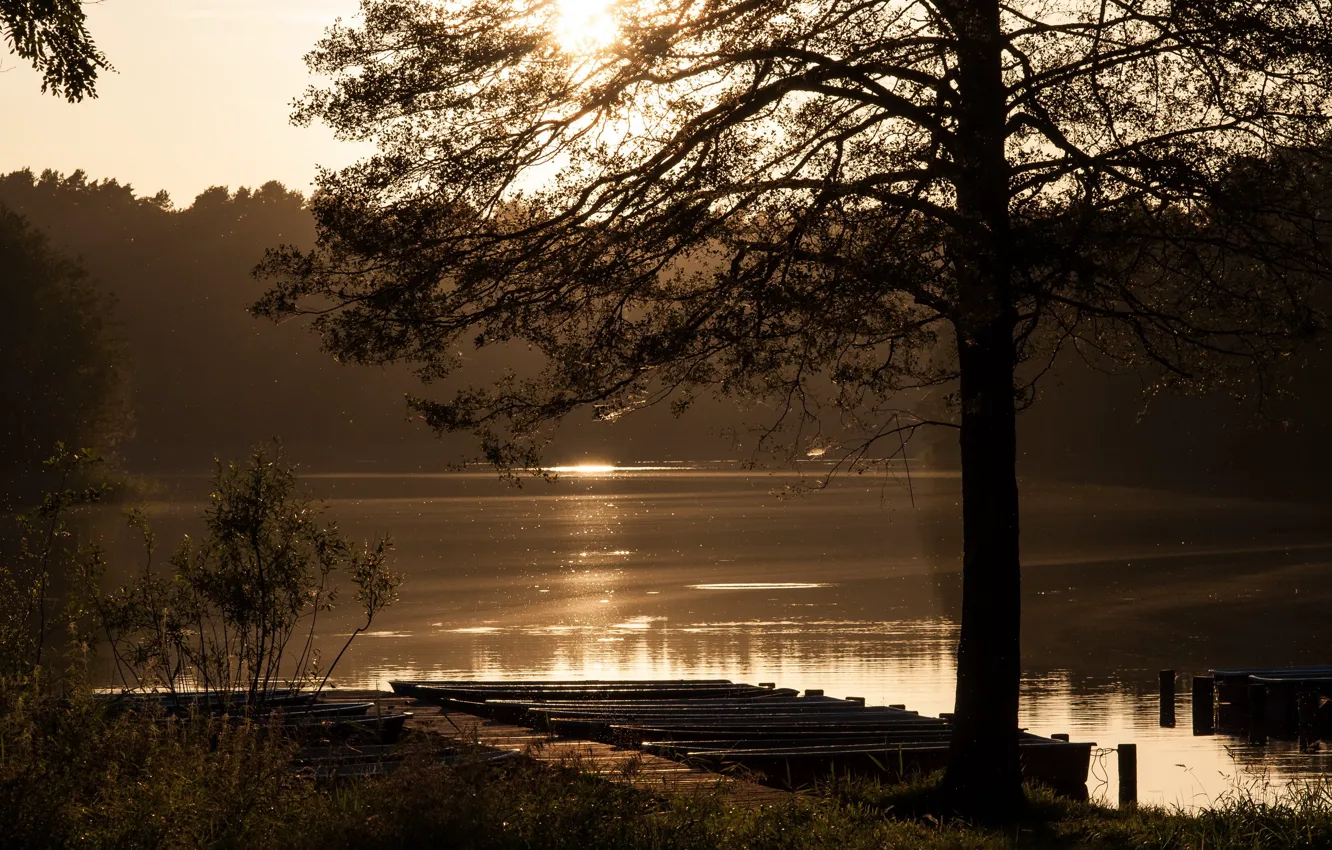 Фото обои пейзаж, озеро, утро