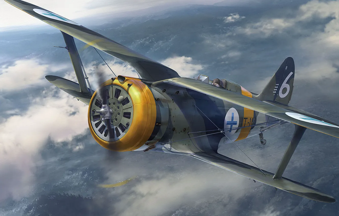 Фото обои истребитель, Финляндия, Tankro Kato, Polikarpov I-153 Finnish Air Force, И-153 Чайка