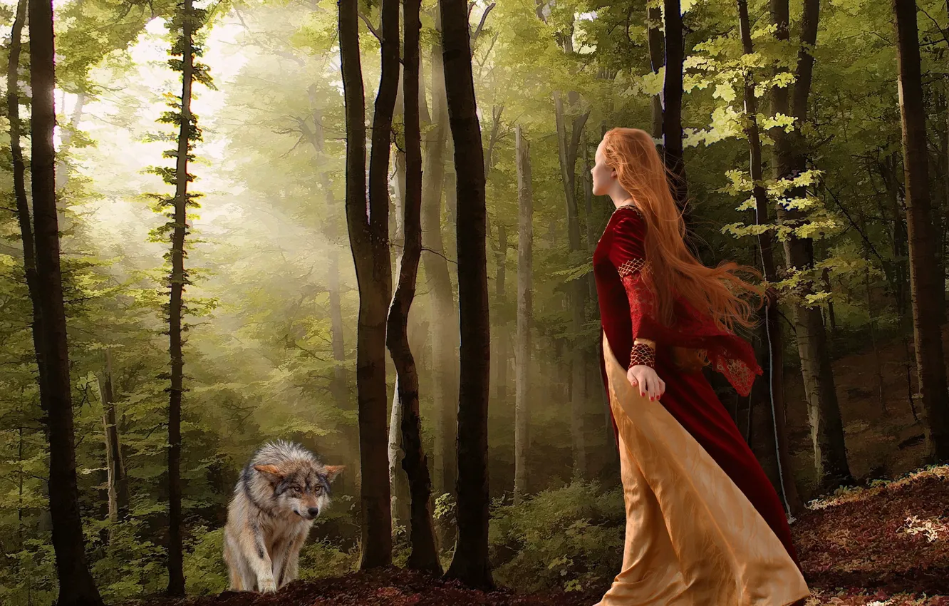 Фото обои лес, девушка, волк, ситуация