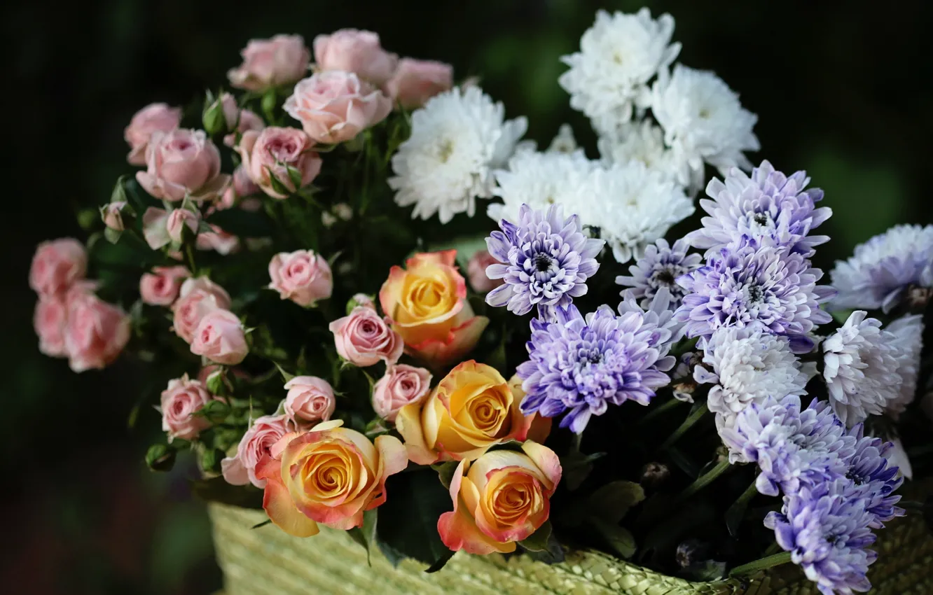 Фото обои розы, бутоны, хризантемы, © Elena Di Guardo