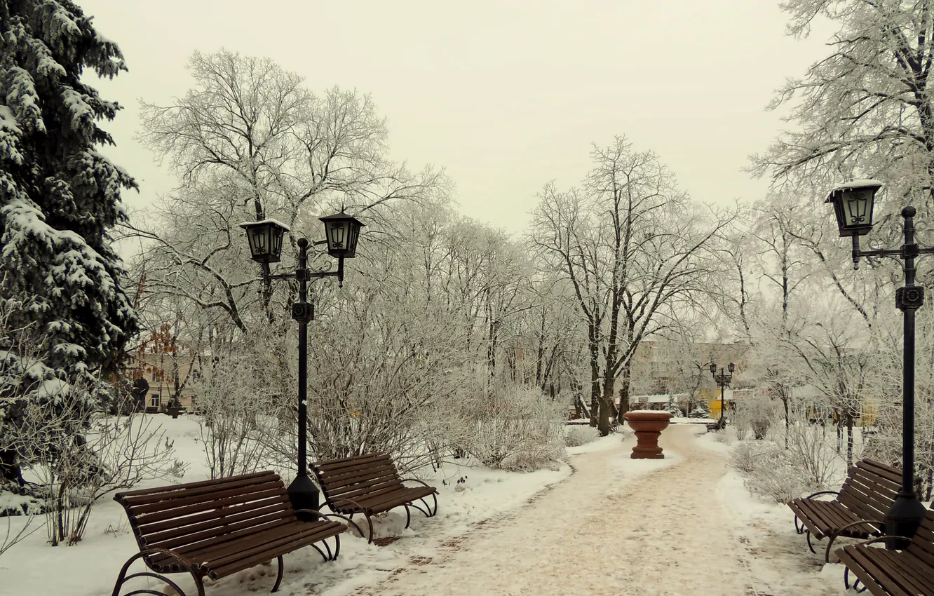 Фото обои зима, небо, снег, деревья, пейзаж, скамейка, природа, парк