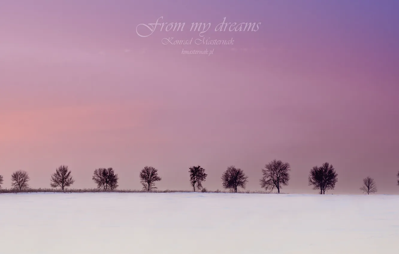 Фото обои зима, деревья, from my dreams