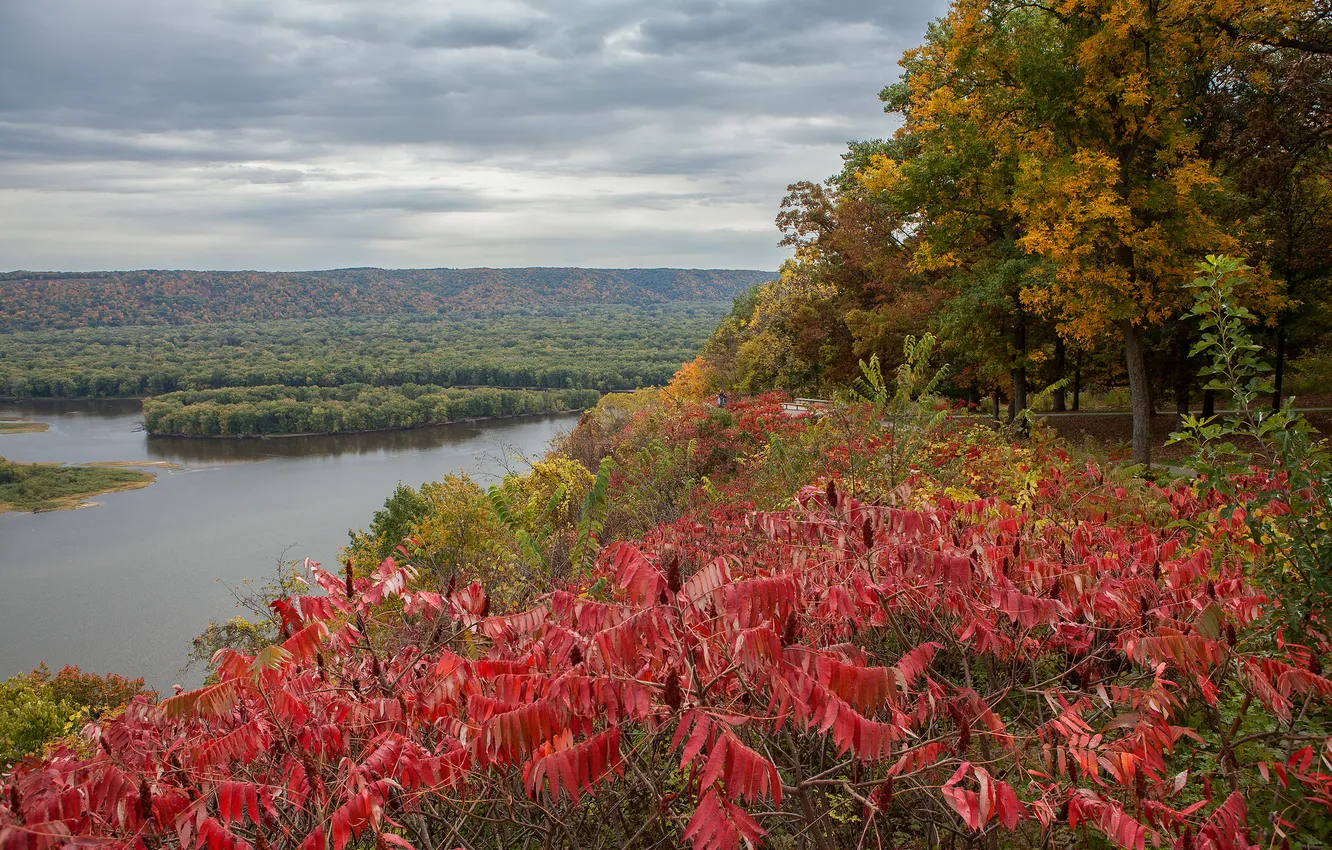 Фото обои осень, лес, небо, листья, деревья, тучи, река