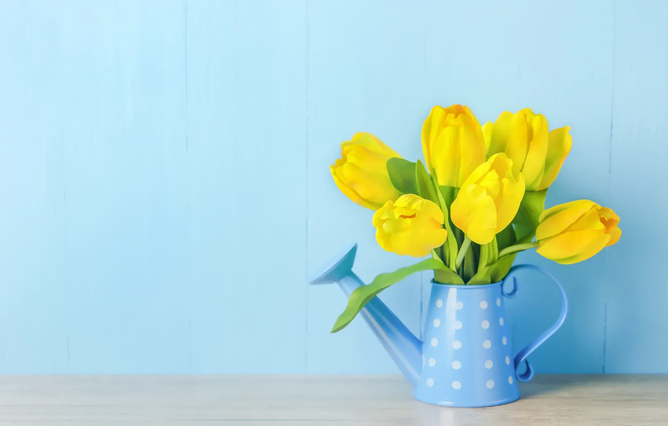 Фото обои цветы, букет, желтые, тюльпаны, fresh, yellow, wood, flowers