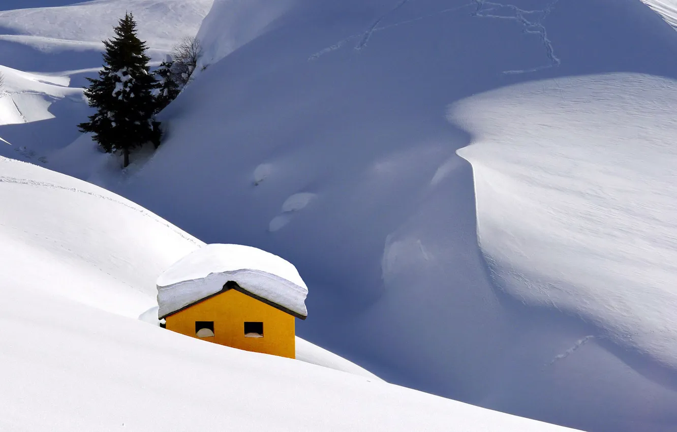 Фото обои зима, снег, горы, дерево, ель, домик