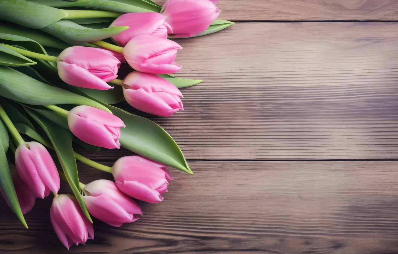 Фото обои цветы, букет, тюльпаны, розовые, pink, flowers, beautiful, tulips
