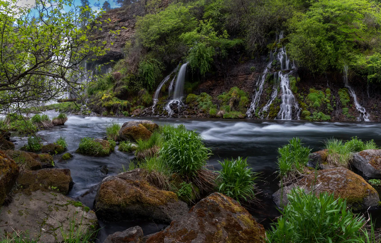 Фото обои трава, ветки, камни, скалы, растительность, водопад, водопады, кусты