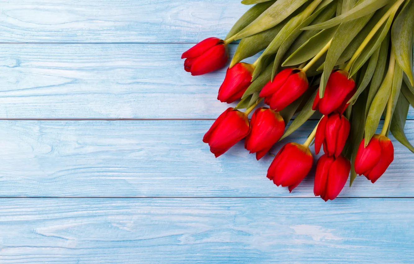 Фото обои цветы, букет, тюльпаны, красные, red, fresh, wood, flowers