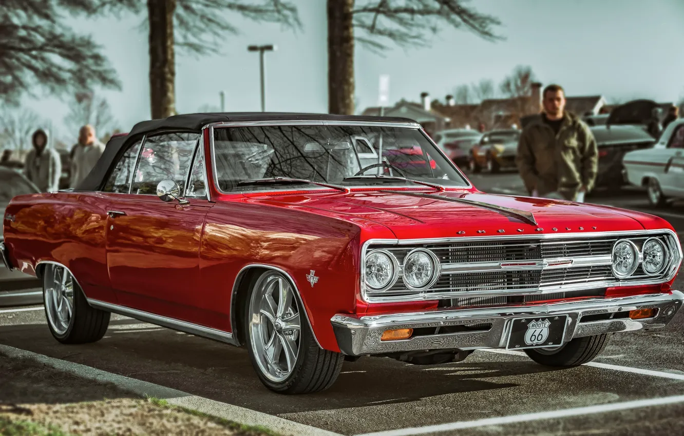 Фото обои Chevrolet, 1965, Chevelle, Chevrolet Chevelle, Chevrolet Chevelle 1965