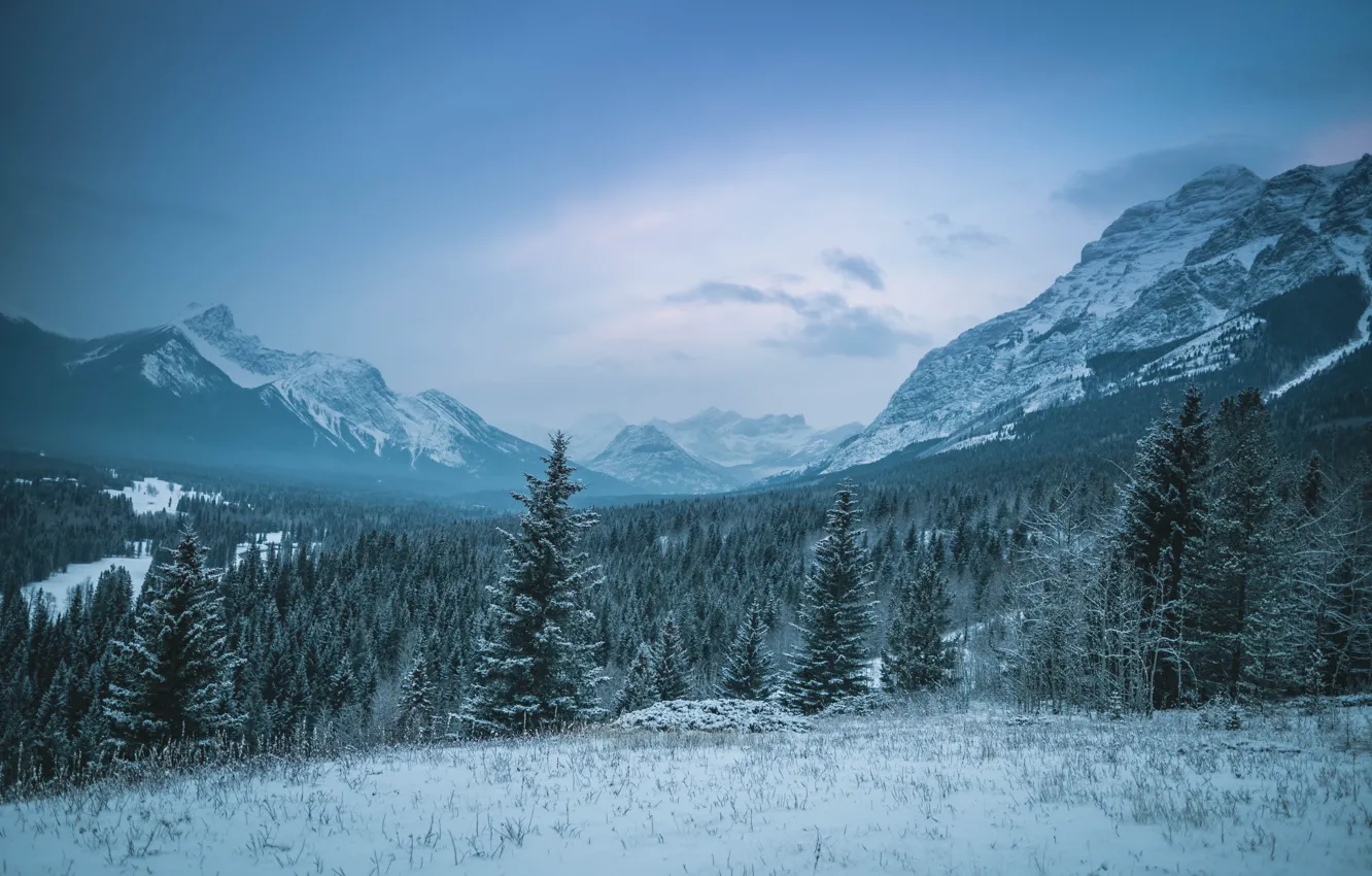 Фото обои зима, лес, небо, облака, снег, деревья, горы, природа
