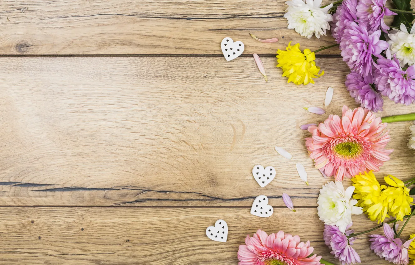 Фото обои цветы, colorful, сердечки, хризантемы, wood, pink, flowers, romantic