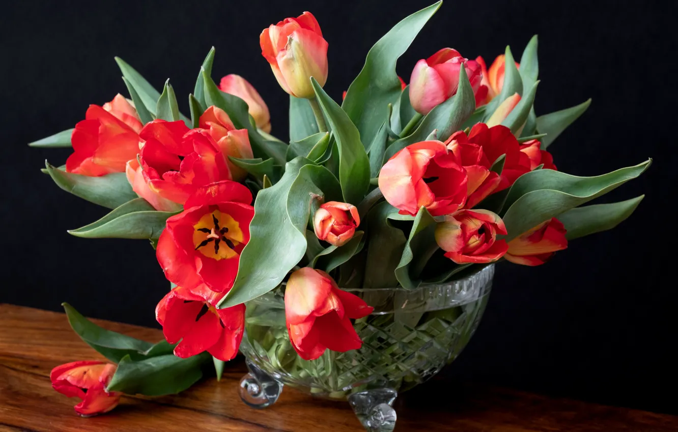 Фото обои букет, тюльпаны, ваза