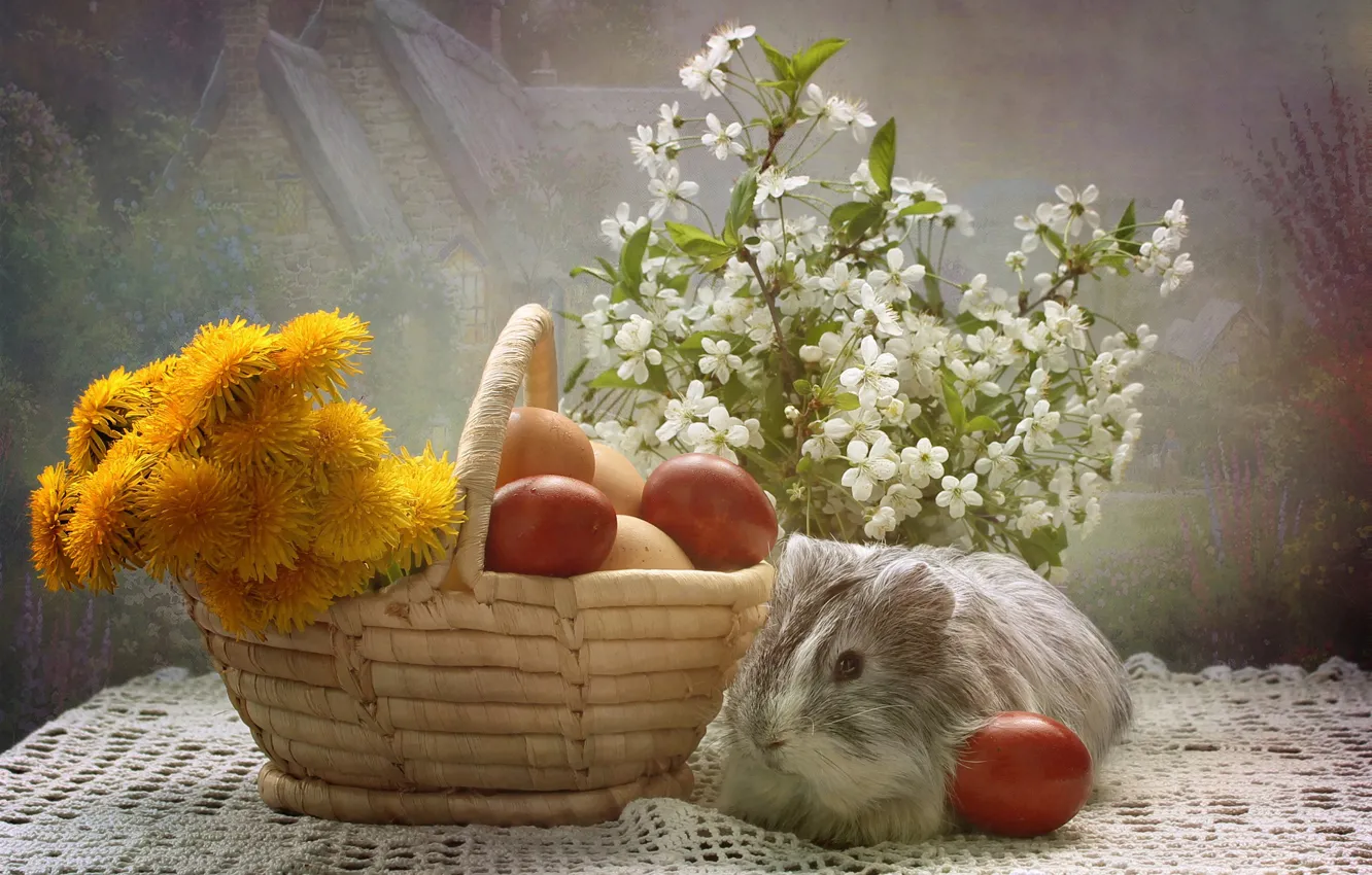 Фото обои животные, цветы, яйца, весна, пасха, композиция, апрель, морские свинки