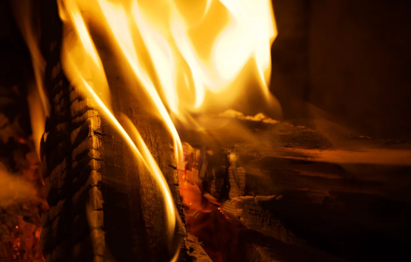 Фото обои fire, flame, macro, closeup, firewood, burn