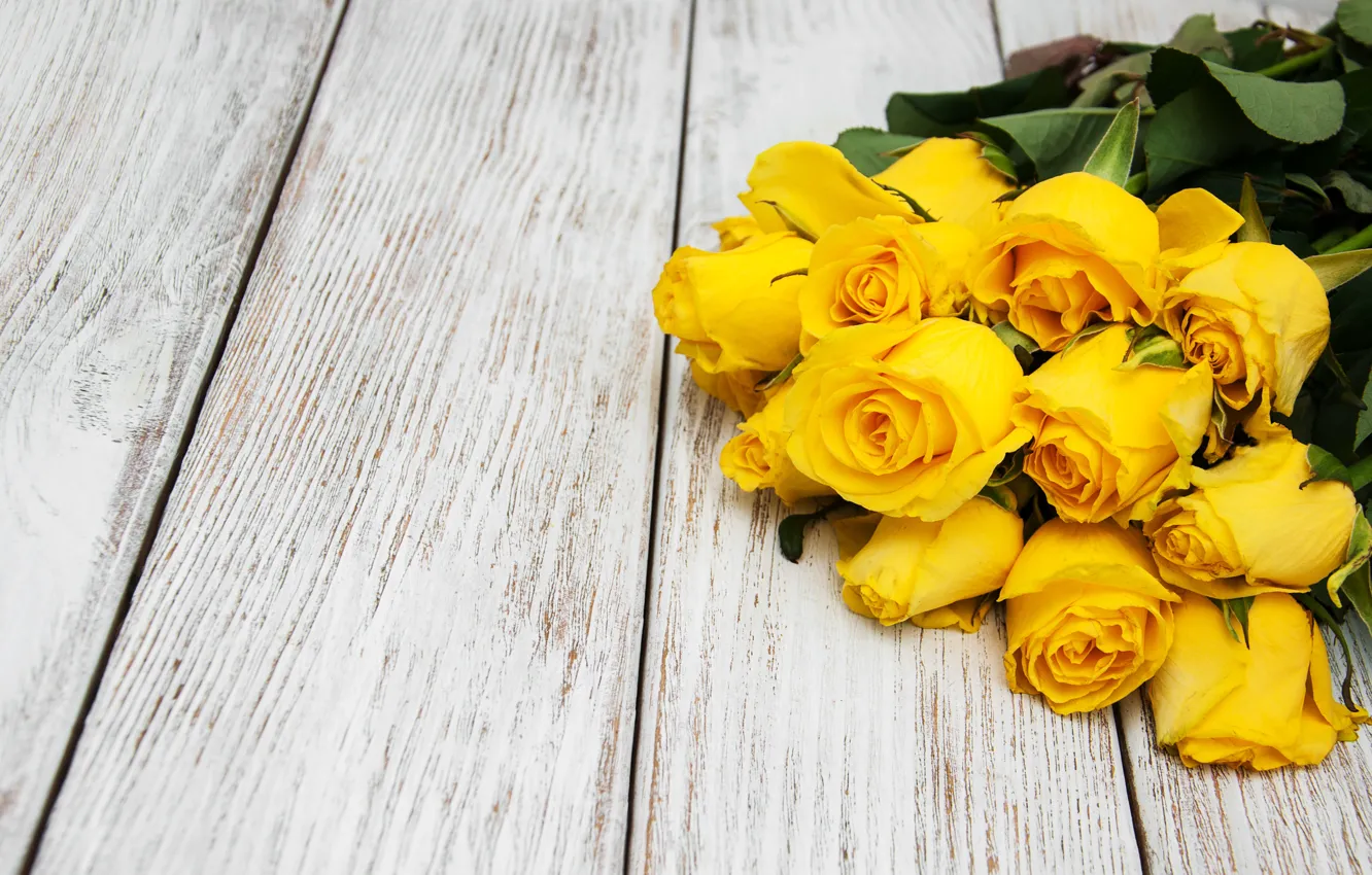 Фото обои розы, букет, желтые, flower, красивые, roses, bouguet, Olena Rudo