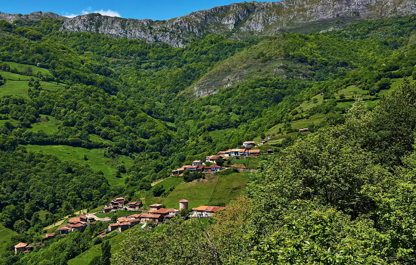 Фото обои горы, поля, панорама, домики, Испания, леса, Asturias, Proaza