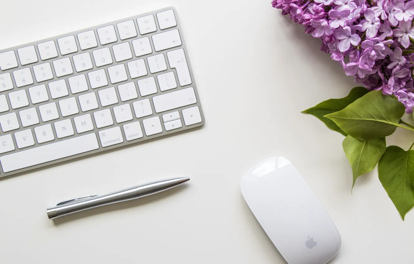 Фото обои цветы, мышка, ручка, клавиатура, сирень