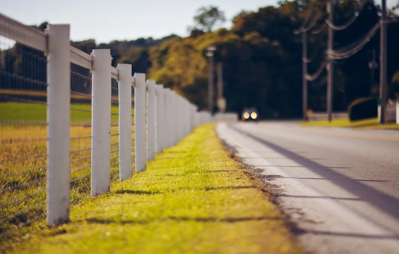 Фото обои дорога, трава, забор, ограда