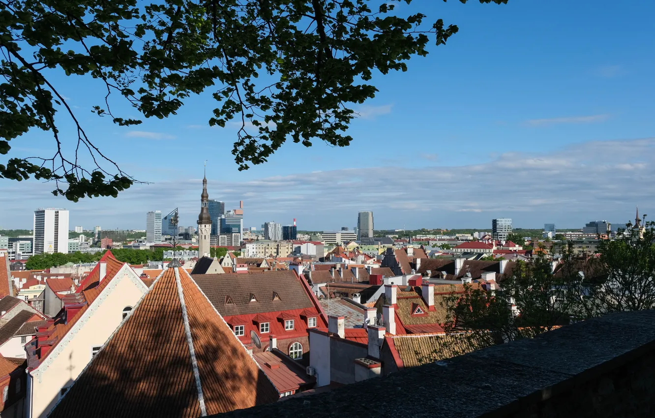 Фото обои estonia, cityscape, old town, tallinn