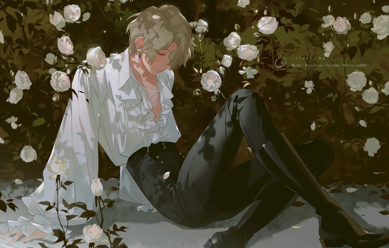 Фото обои сапоги, парень, белые розы, блондин, оборки, белая рубашка, куст роз