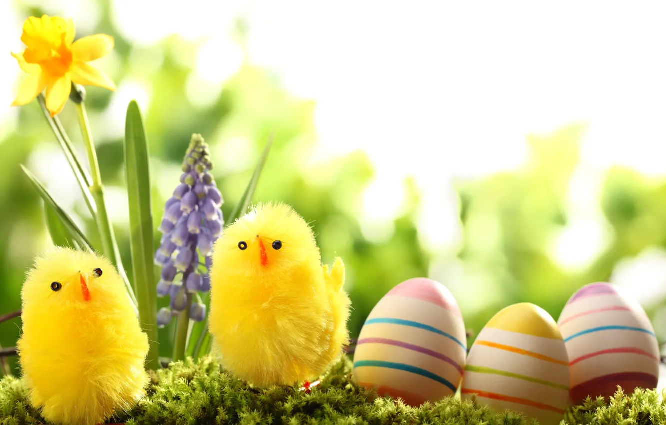 Фото обои трава, цветы, природа, праздник, цыплята, яйца, весна, Пасха