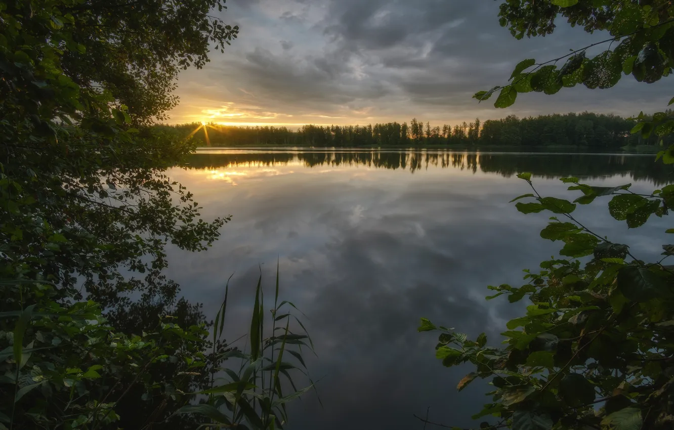 Фото обои солнце, деревья, река, рассвет