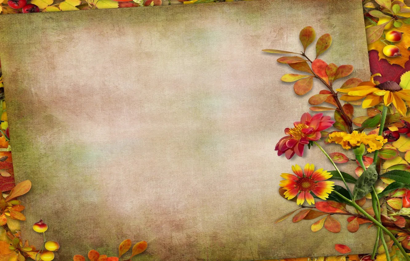 Фото обои осень, листья, цветы, ягоды, vintage, background, autumn, leaves