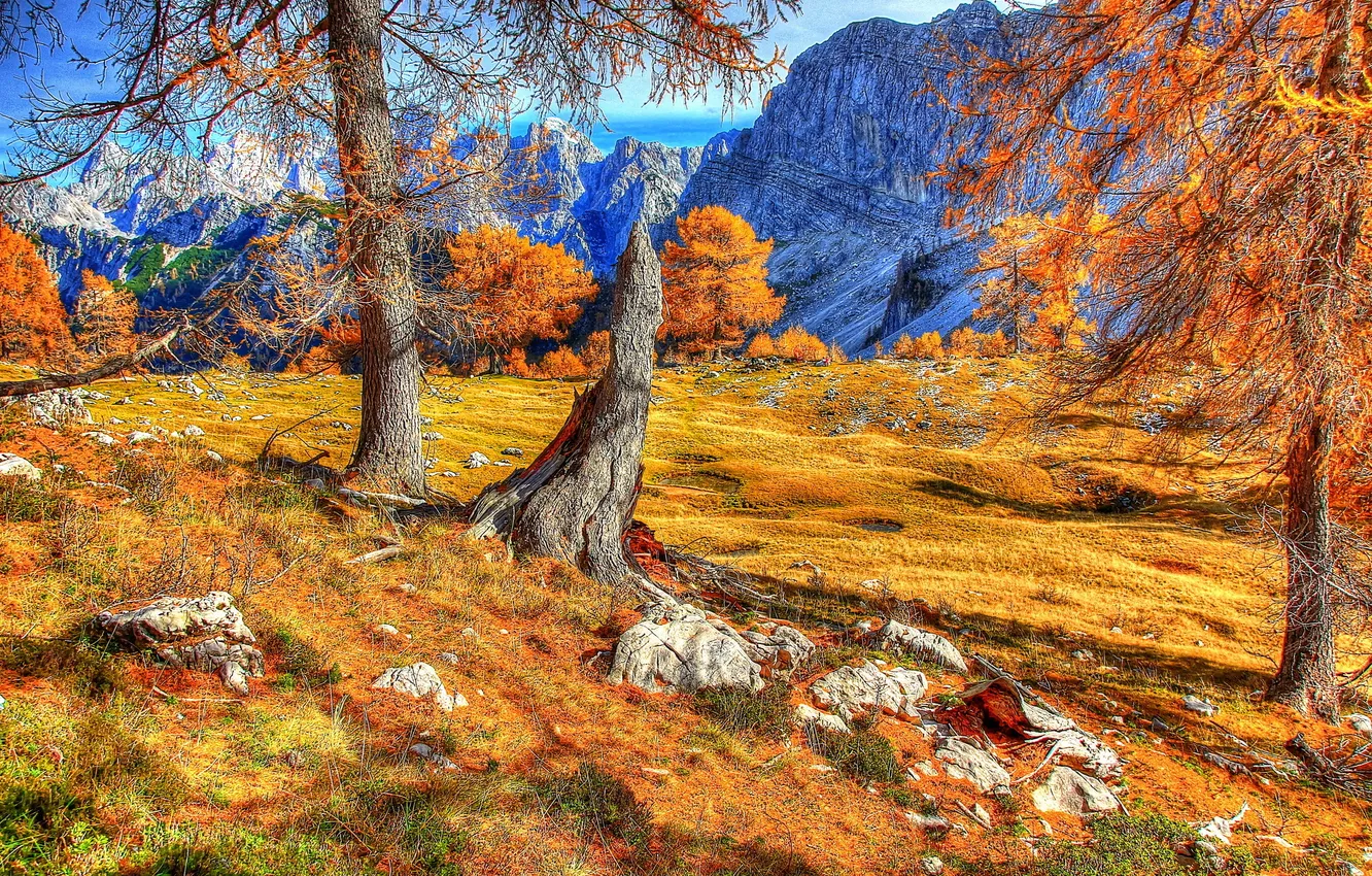 Фото обои осень, горы, скалы, Словения, slovenia, деревья.