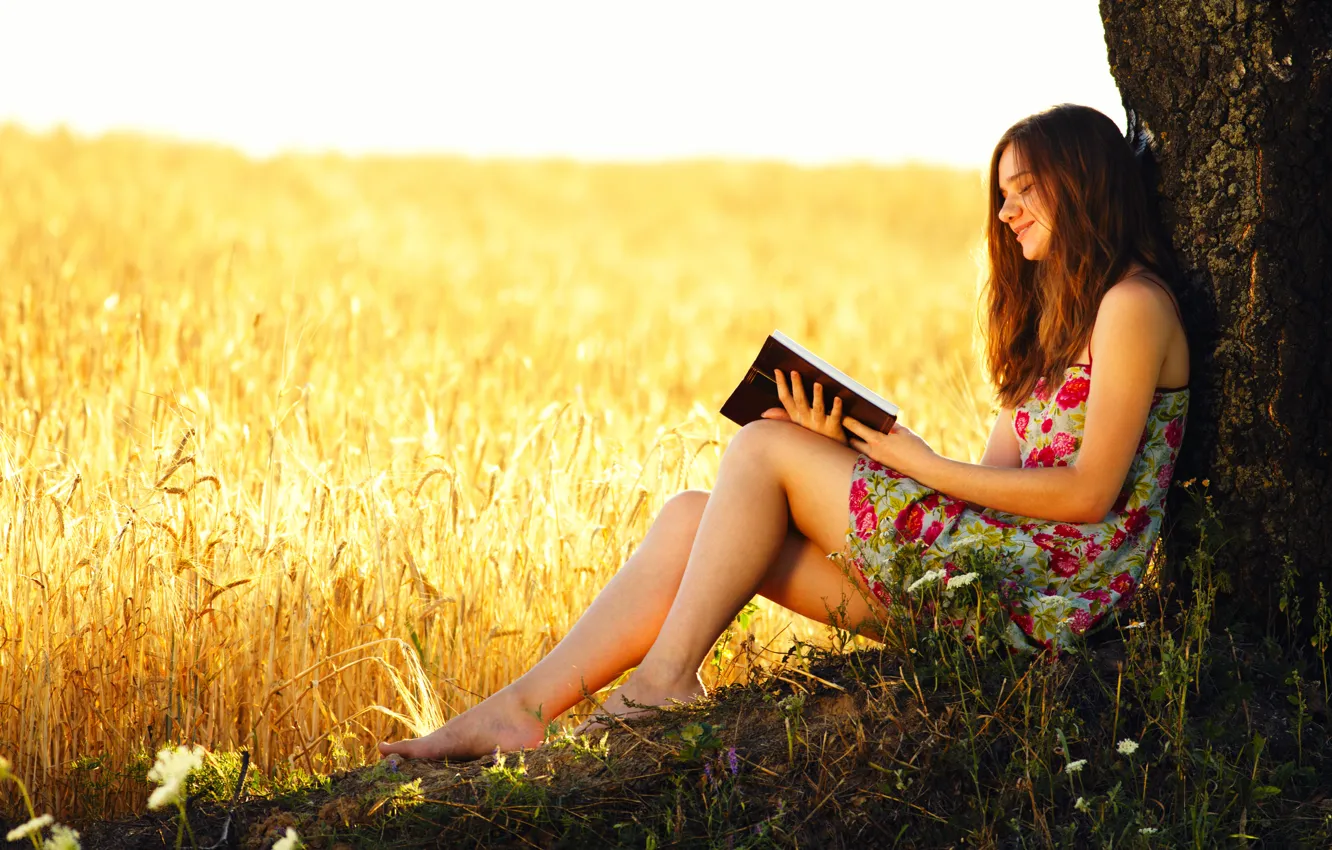 Фото обои пшеница, поле, девушка, дерево, книга, колосья, чтение
