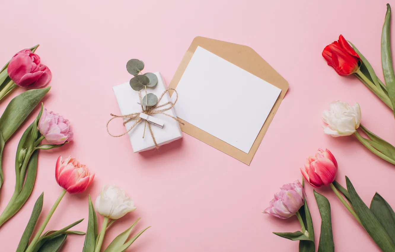 Фото обои письмо, цветы, фон, подарок, тюльпаны, Праздник