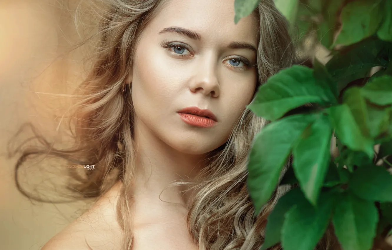 Фото обои девушка, лицо, блондинка, Lilia, Alexander Drobkov-Light