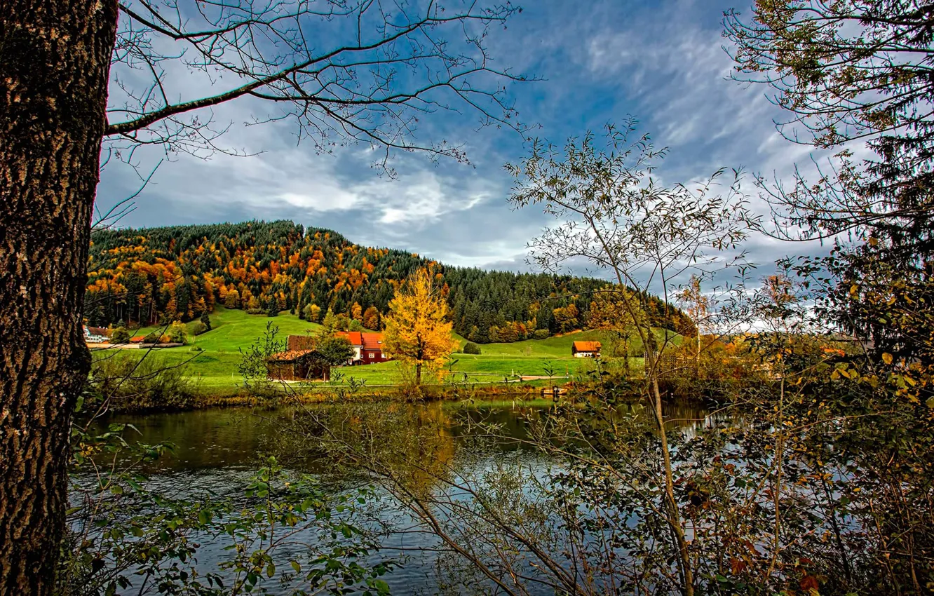 Фото обои осень, небо, трава, деревья, река, холмы, дома