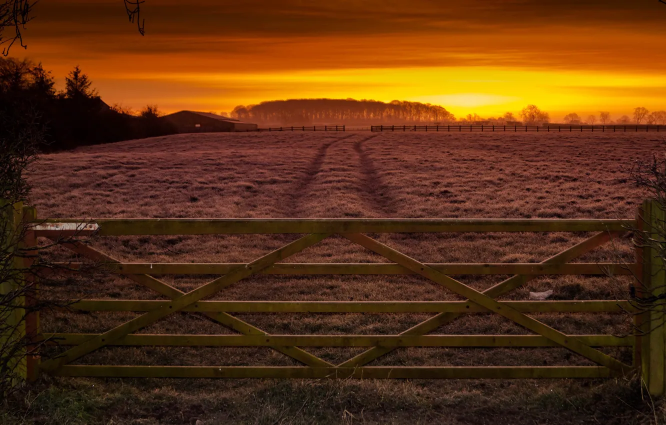 Фото обои поле, закат, забор