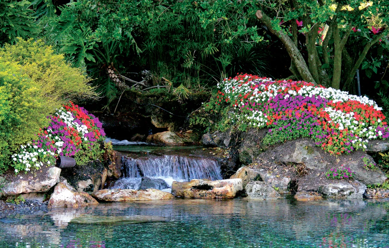 Фото обои вода, природа, камни, растения, сад, цветочки, water, flowers