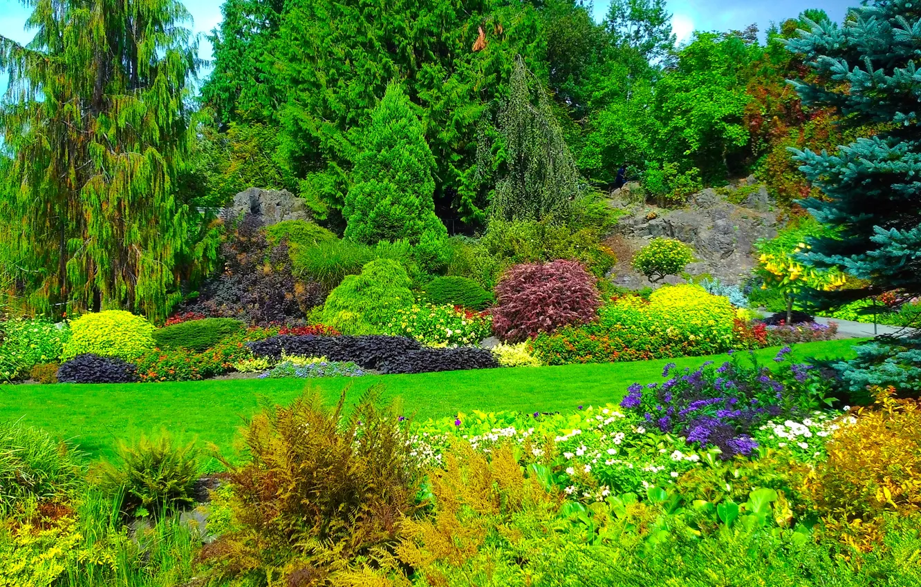 Фото обои зелень, трава, деревья, цветы, Канада, солнечно, кусты, сады