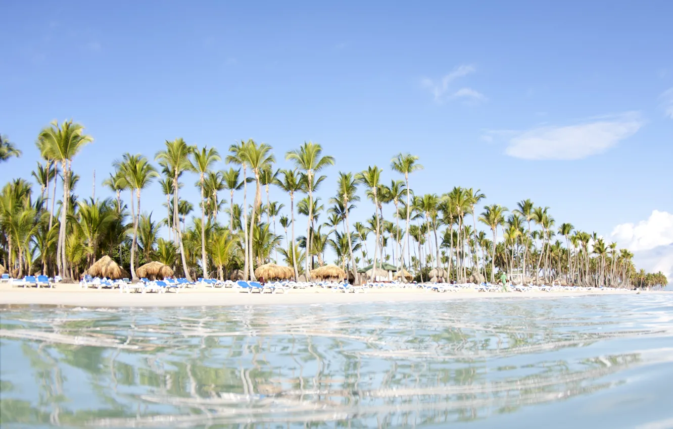 Фото обои пляж, вода, прозрачность, пальмы, океан
